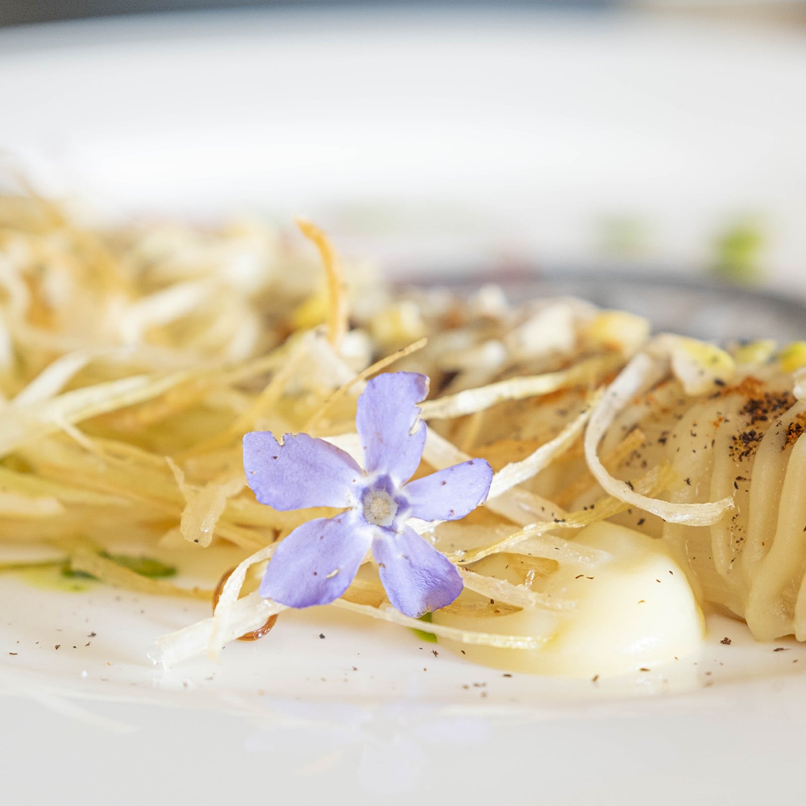 03 Banner Ristorante