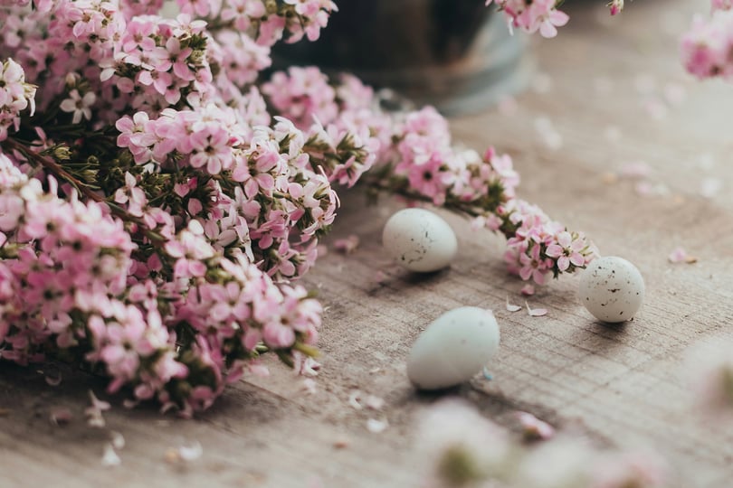 Offerta Pasqua Terme Di Stigliano
